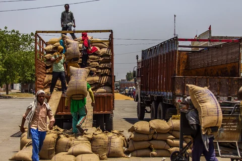 Workers load sacks onto a truck at a market in Karnal, Haryana, India (Photographer: Prashanth Vishwanathan/Bloomberg)