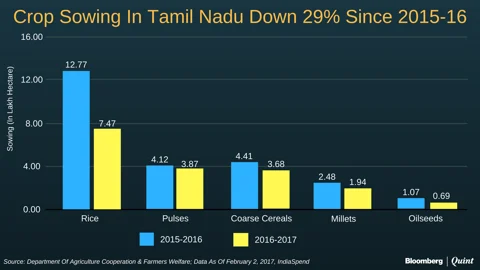 As Tamil Nadu Farm Crisis Grows, Record National Harvest Predicted