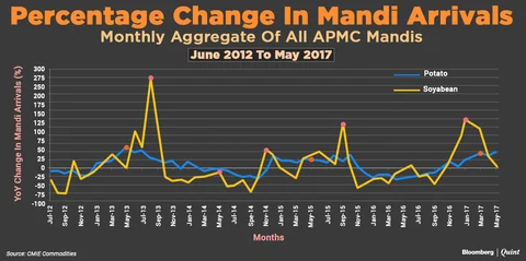 Farm Prices After A Bumper Crop: Managing A Problem Of Plenty