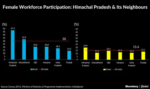 Why Himachali Women Work: A Jam Factory May Have Answers