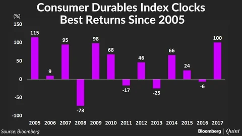 Consumer Durables Index Clocks Best Returns In 12 Years