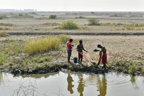 Men use a fishing net near the village of Dholera, Gujarat, India, on Wednesday, November 22, 2017. (Photographer: Anindito Mukherjee/Bloomberg)