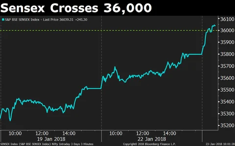 Stocks That Helped Nifty Journey To 11,000