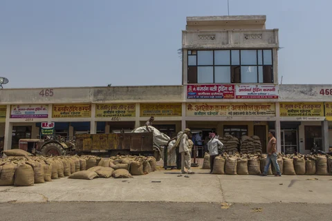 Workers unload wheat from a trailer at a trader’s store at the New Grain Market in Karnal, Haryana, India. (Photographer: Prashanth Vishwanathan/Bloomberg)