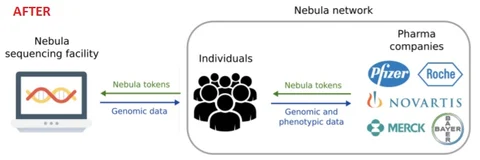 Source: Nebula Genomics Whitepaper