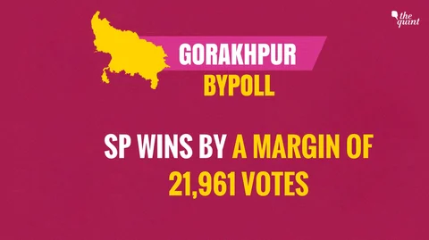 Gorakhpur Bypoll: In ‘Unexpected Result’, SP Wins Yogi’s Bastion