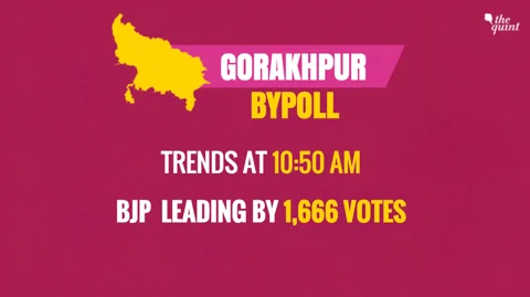 Gorakhpur Bypoll: In ‘Unexpected Result’, SP Wins Yogi’s Bastion