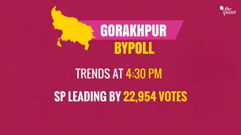 Gorakhpur Bypoll: In ‘Unexpected Result’, SP Wins Yogi’s Bastion