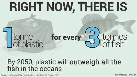 World’s Plastic Burden: Weight Of A Billion African Elephants