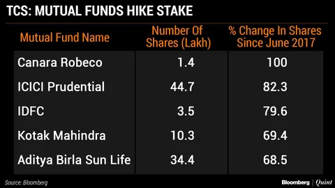 Mutual Funds That Benefited From The Information Technology Rally