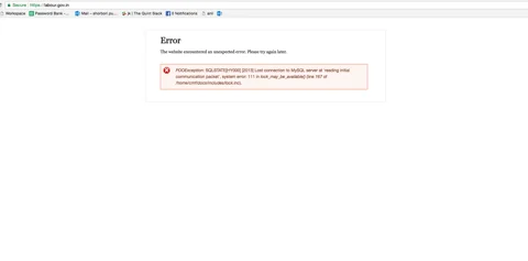 Screenshot of the Labour Ministry website