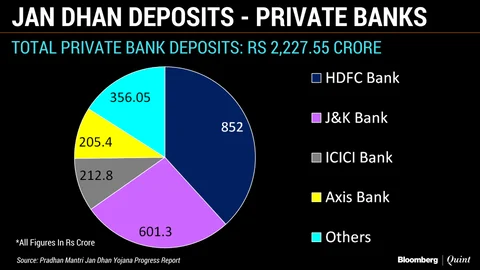 Private Banks Near Absent In Government’s Jan Dhan Yojana