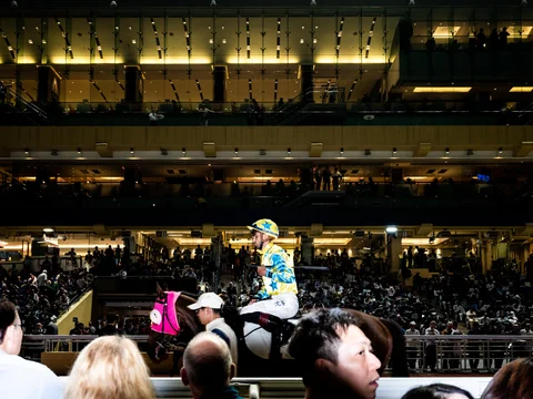 At its most intricate, Benter’s model tracked more than 120 variables per horse. (Photographer: Xyza Bacani/ Redux For Bloomberg Businessweek)