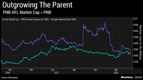 Housing Finance Arm Surpasses Parent PNB In Valuation
