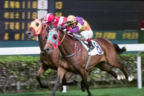 Bobo Duck (No. 8) romps to victory on Nov. 6, 2001. Bill Benter made 51,381 bets—one of which won $16 million. (Photographer: GARRIGE HO/SCMP)