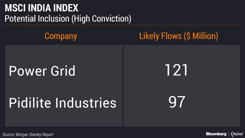 Morgan Stanley Expects Power Grid And Pidilite To Be Included In MSCI India Index