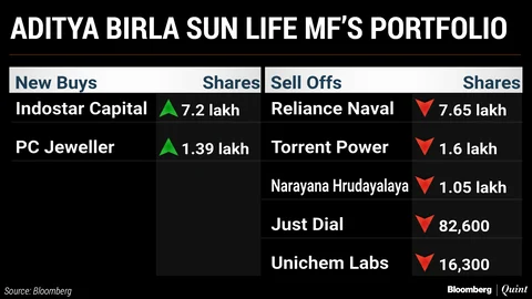 What India’s Top Three Mutual Funds Bought And Sold In May