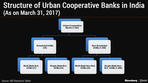 Giving India’s Urban Cooperative Banks Another Chance