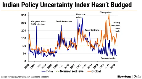 Note: For India, the index reflects counts of articles in important newspapers containing terms directly related to economic policy uncertainty.
