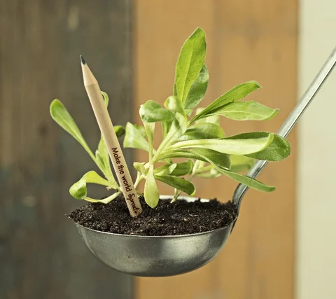 (Source: sproutworld.com)