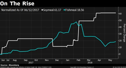 Why Are Shrimp Stocks Down?