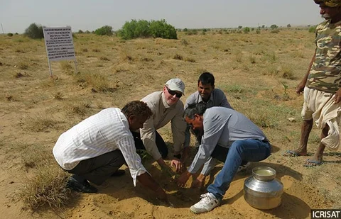 To withstand climate change, farmers need adequate support by way of know-how and practical assistance for adoption of drought- or heat-tolerant crop varieties (cultivars), soil and water conservation technologies, said Anthony Whitbread, a research programme director at the International Crops Research Institute for the Semi-Arid Tropics (ICRISAT). 