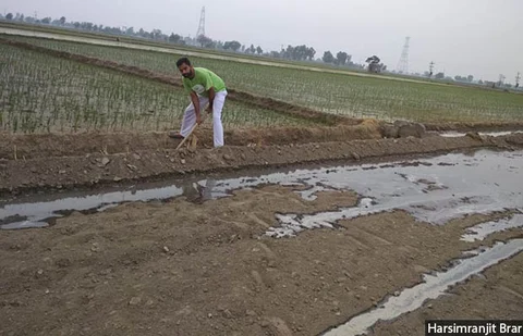 Harsimranjit Brar, from a farming family in Sri Muktsar Sahib, Punjab, feels that farmers need more technical know-how on climate relevant to their situation. State-wise or regional advisories ignore the fact that the characteristics of land differ from area to area. 