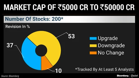 Large Caps Stand Out Amid Slew Of Stock Downgrades