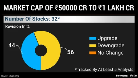 Large Caps Stand Out Amid Slew Of Stock Downgrades