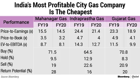 Is Mahanagar Gas Stock Rout Justified?