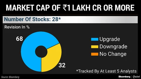 Large Caps Stand Out Amid Slew Of Stock Downgrades