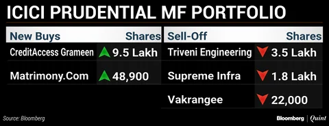 What India’s Top Three Mutual Funds Bought And Sold In August