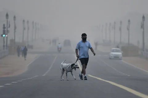 A man wearing a face mask crosses a road shrouded in smog with a dalmatian dog in New Delhi. (Photographer: Anindito Mukherjee/Bloomberg)