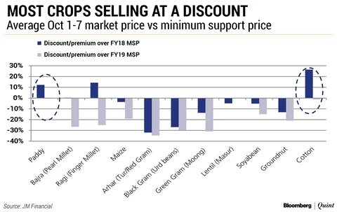 Small Farmers Unlikely To Gain From Higher Support Prices, Says JM Financial