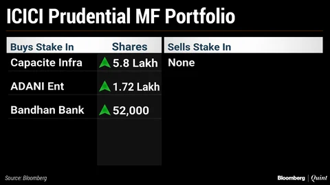 What India’s Top Three Mutual Funds Bought And Sold In September