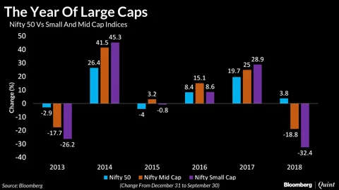 Nifty 50 Beats Small, Mid Caps First Time In Five Years