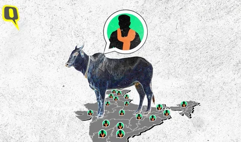The Making of Lynchistan: Inside India’s Deadly Gau Raksha Network
