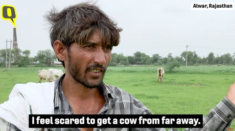 The Making of Lynchistan: Inside India’s Deadly Gau Raksha Network