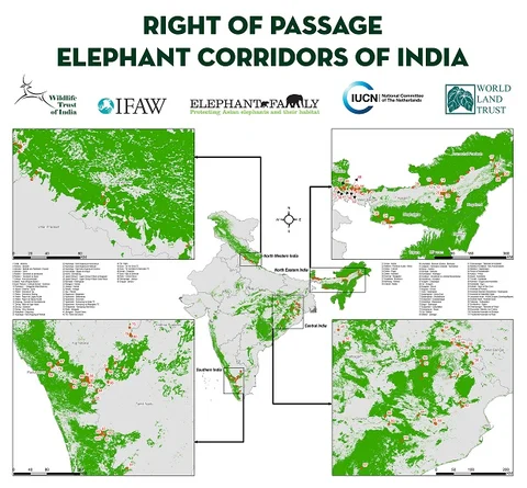 As Living Room Runs Out In India, The Slaughter Of Its Elephants Escalates
