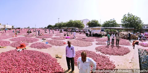 Onions pile up in MP’s Mandsaur agriculture market. They sold for a 1/5th of what it cost to grow them.