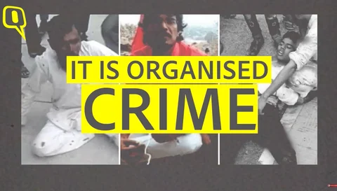 The Making of Lynchistan: Inside India’s Deadly Gau Raksha Network
