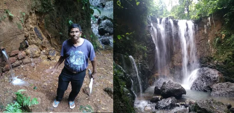 Left: Quellosim villager Lopinho Xavier shows two of the three outlets of the Kesarval spring. Right: The Kesarval waterfall and the third outlet of the spring (to the left, emerging from vegetation). (Picture Courtesy: Nihar Gokhale)