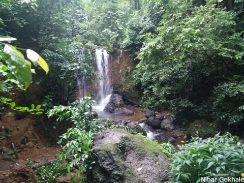 The Kesarval spring and waterfall in August 2018. The waterfall is active in the monsoon season. (Picture Courtesy: Nihar Gokhale)