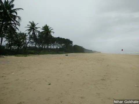 A view of the Arossim beach, a four-kilometre stretch where two resorts operate and three more are proposed. (Picture Courtesy: Nihar Gokhale)