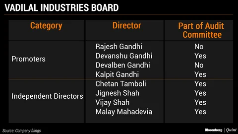 Board Differences Delay Vadilal Industries’ Audit Report