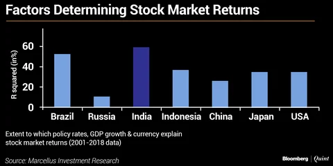 The Indian Stock Market Is Unique. Here Is The Data.