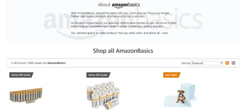 An image of the Amazon website with information on Amazon Basics.