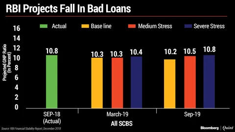 FSR: RBI Says Bank NPAs May Fall To 10.3% In March 2019