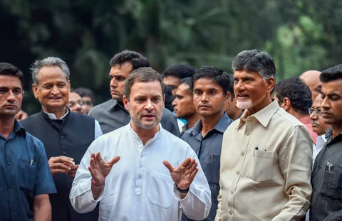 Rahul Gandhi with N Chandrababu Naidu in New Delhi, on Nov. 1, 2018. (Photograph: PTI)