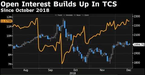 Option Traders Bet $16 Million On TCS Falling More In New Year